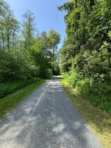 Rußweiher Rundweg