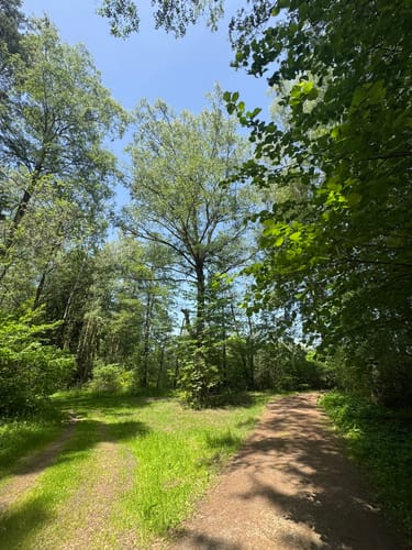 Rußweiher Rundweg