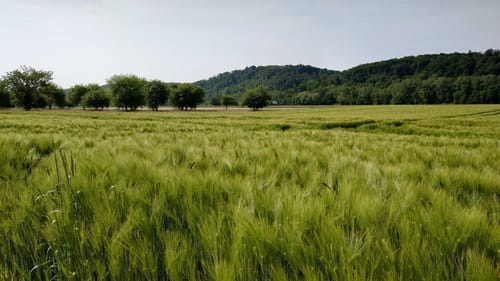 Kettwig: Schloss Hugenpoet & Schloss Landsberg