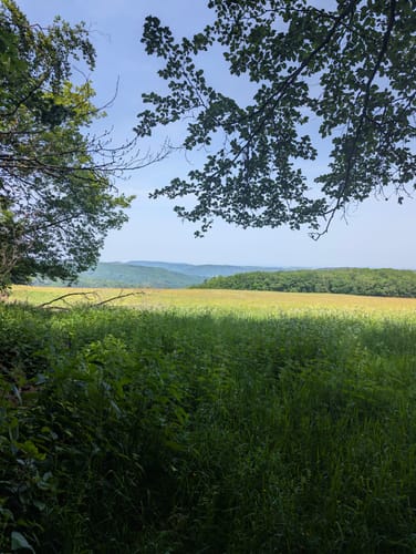 Kermeter Runde: Honigberg - Heimbach - Mariawald