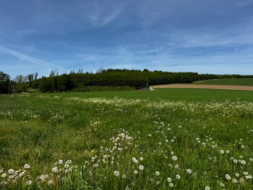 Versetalsperre Rundwanderweg A1
