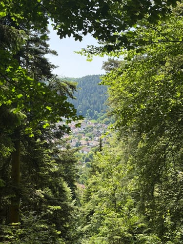 Wildes Monbachtal