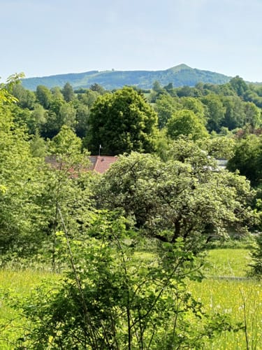 Von Poppenhausen zur Ebersburg