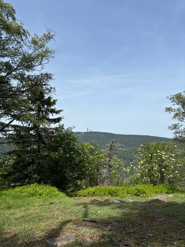 Kronberg - Altkönig - Fuchstanz