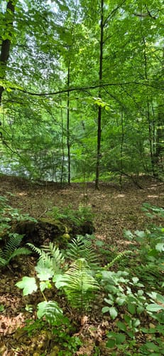 Wennigser Mark - Annaturm Rundweg