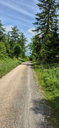 Wennigser Mark - Annaturm Rundweg