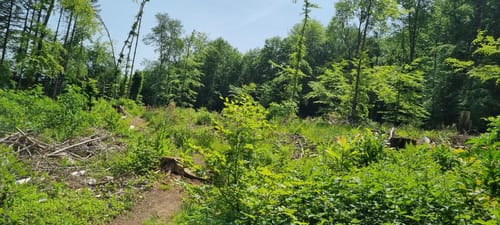 5-Weiher-Tour (Premiumwanderweg)