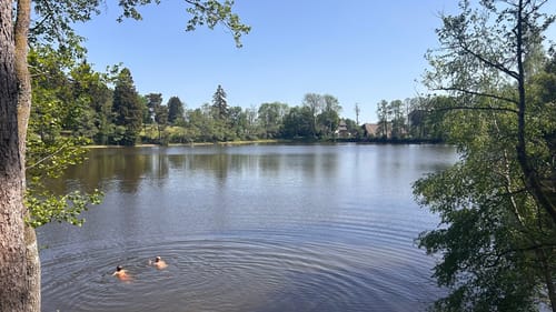 Grafenhausen - Schlüchtsee - Hüsli