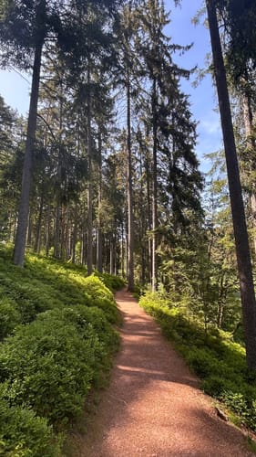 Grafenhausen - Schlüchtsee - Hüsli