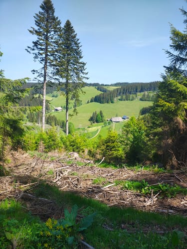 Mittelweg Etappe 6: St. Georgen - Kalte Herberge