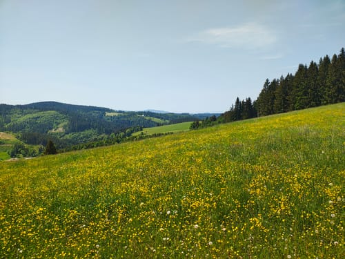 Mittelweg Etappe 6: St. Georgen - Kalte Herberge