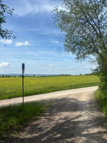 Halberstadt Waldrunde