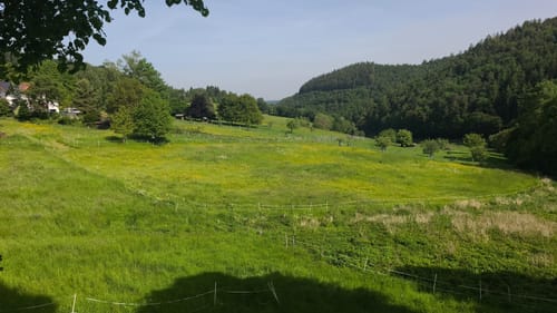 Adenau - Jammelshofen - Langhardt
