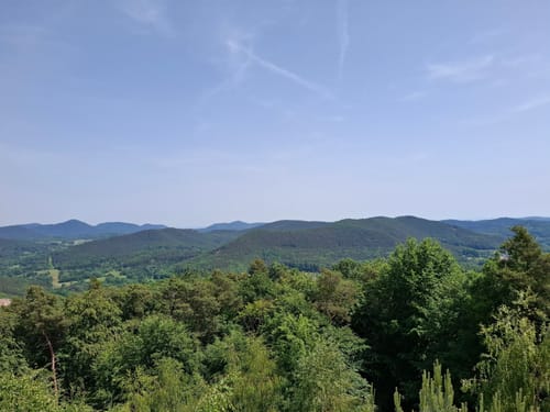 Rimbach-Steig (Premiumwanderweg)