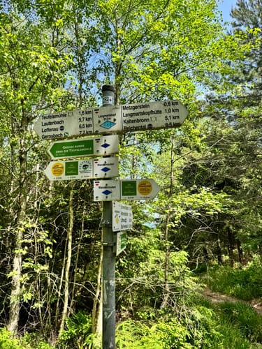 Große Runde über die Teufelsmühle