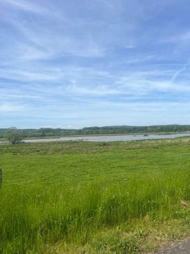 Rhäden-Rundweg