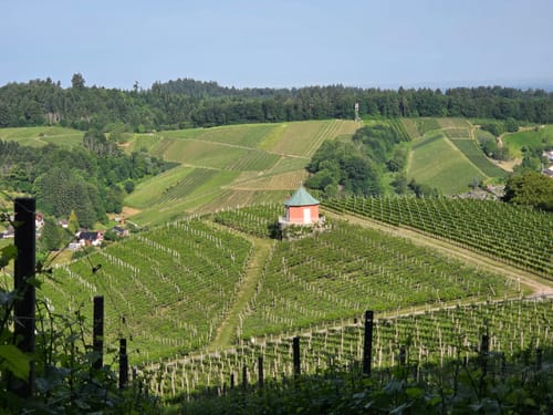 Lautenbacher Hexensteig
