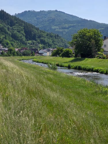 Lautenbacher Hexensteig