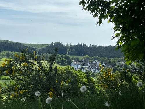 Rothaarsteig-Spur Grönebacher Dorfpfad
