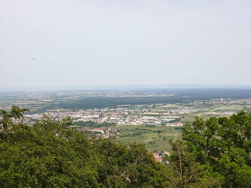Hambacher Schloss - Hohe Loog