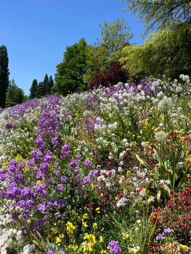 Insel Mainau