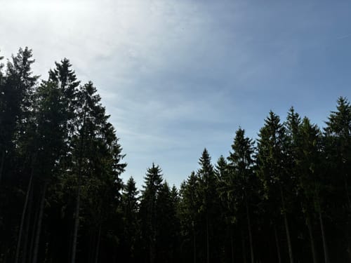 Gemmenich - Preuswald