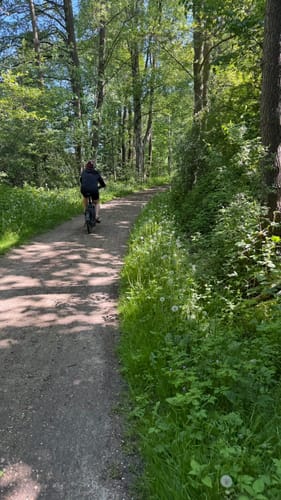 Eutiner See Rundweg