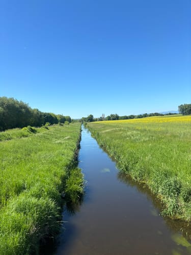 Halberstadt See Runde