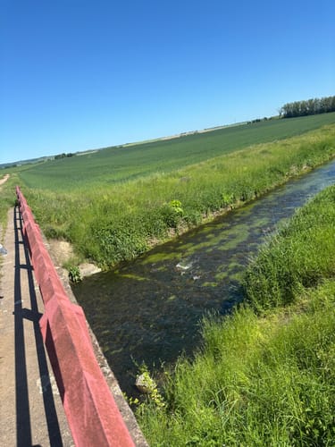 Halberstadt See Runde