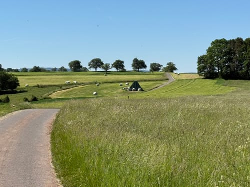 Landscheid 6