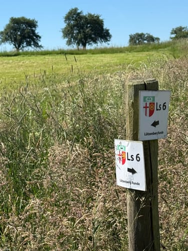 Landscheid 6