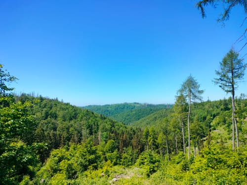 Panoramaring um Frauenwald
