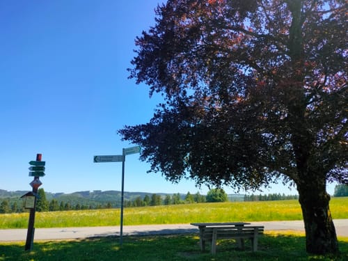 Panoramaring um Frauenwald