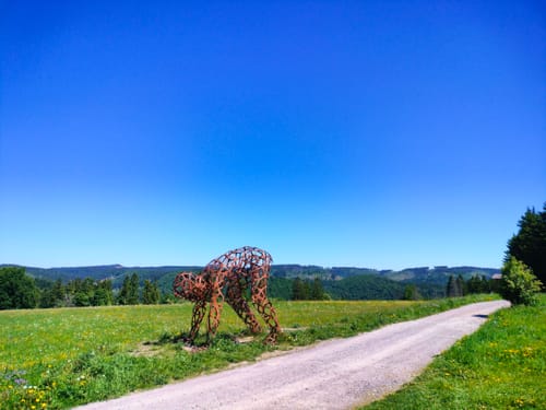 Panoramaring um Frauenwald