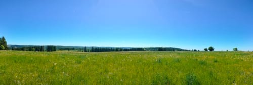 Panoramaring um Frauenwald