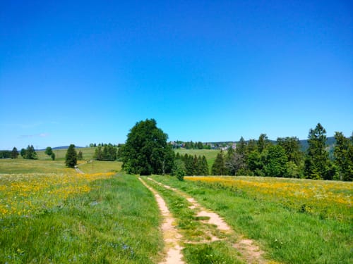 Panoramaring um Frauenwald