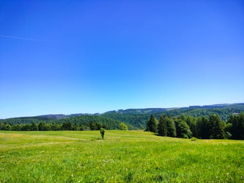 Panoramaring um Frauenwald