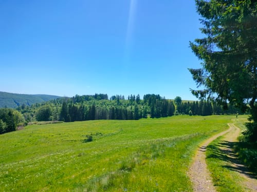 Panoramaring um Frauenwald