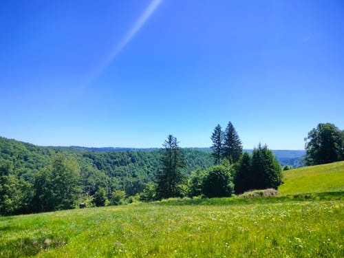 Panoramaring um Frauenwald