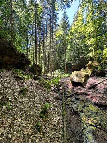 Kesselblick