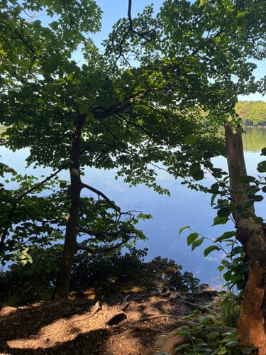 Zum Berggeistweiher