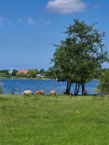 Um den Dobersdorfer See