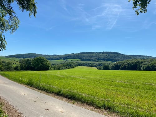 Naturpark Südeifel Wanderweg Nr. 76 - Bettingen
