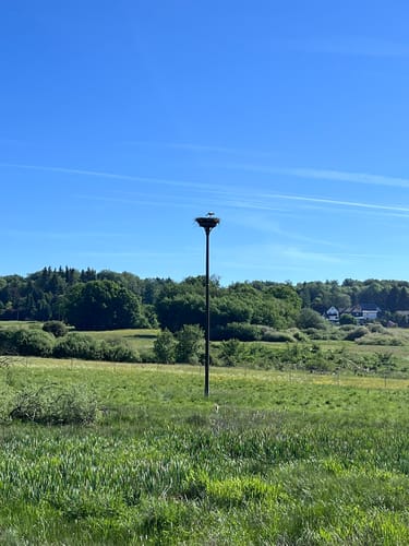 WesterwaldSteig  Etappe 5: Westerburg - Freilingen