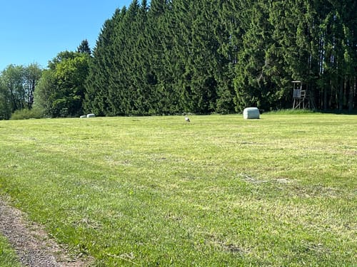 WesterwaldSteig  Etappe 5: Westerburg - Freilingen