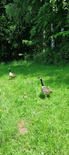 5-Weiher-Tour (Premiumwanderweg)