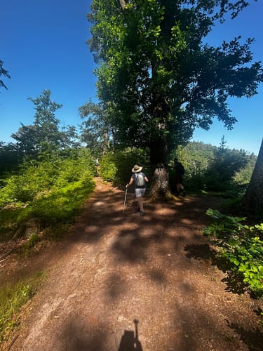 Altschloßpfad (Premiumwanderweg)