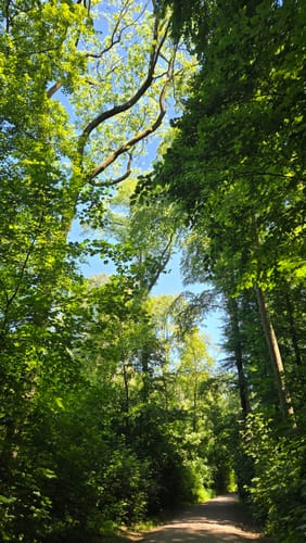 Mönchengladbach - Schloß Rheydt