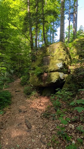 Durch das wildromantische Schweinbachtal zur Bruderhöhle