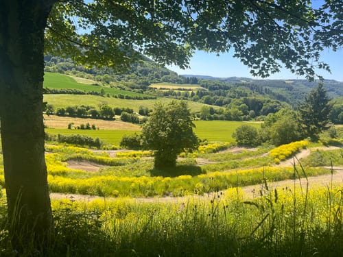 Vier-Berge-Tour (Traumpfad)
